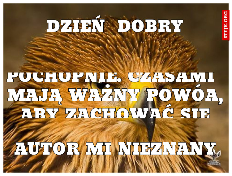 dzień  dobry