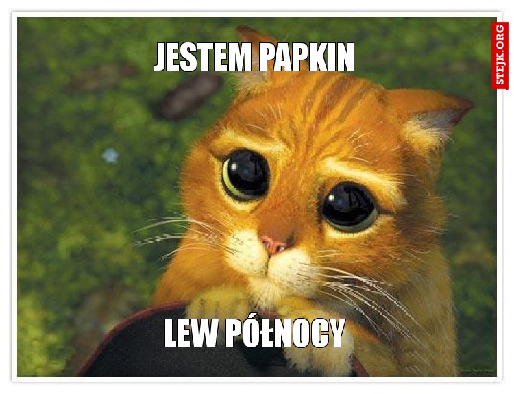 Jestem Papkin