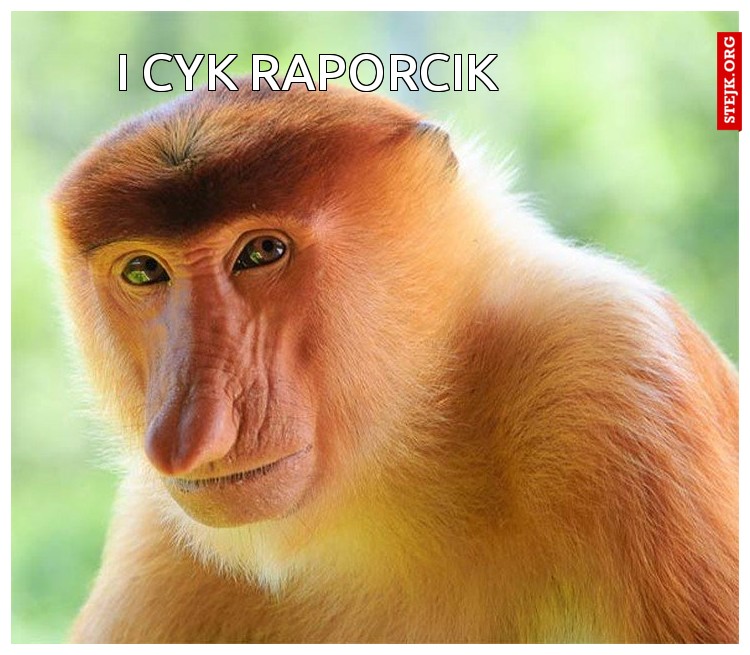 I CYK RAPORCIK