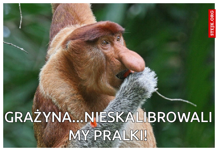 Grażyna...nieskalibrowali my pralki!