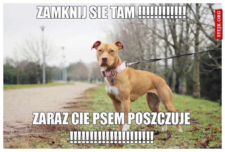 zamknij sie tam !!!!!!!!!!!!