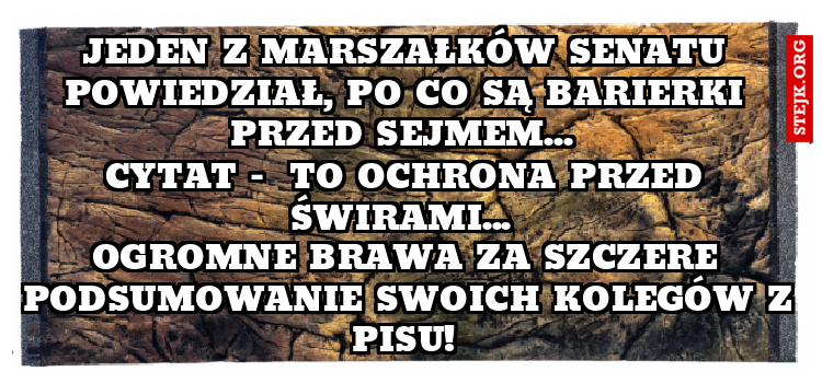Jeden z marszałków senatu powiedział, po co są barierki przed Sejmem... 