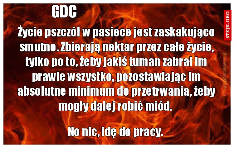 Życie pszczół w pasiece jest zaskakująco smutne. Zbierają nektar przez całe życie, tylko po to, żeby jakiś tuman zabrał im prawie wszystko, pozostawiając im absolutne minimum do przetrwania, żeby mogły dalej robić miód. 