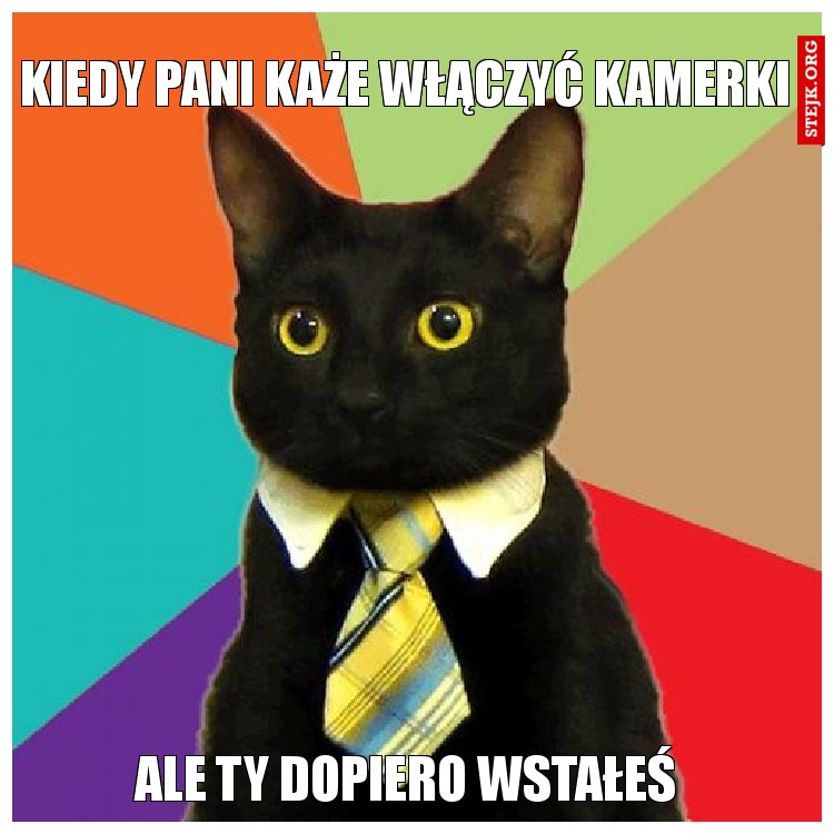 Kiedy pani podaje materiał obowiązkowy do zaliczenia przedmiotu