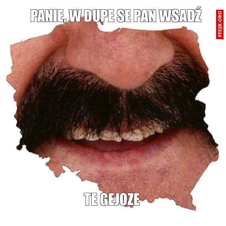 Panie, w dupe se pan wsadź