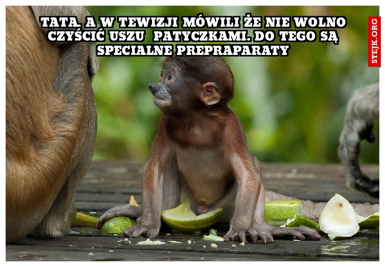 Naciongajo tylko. pewnie drogie to w cholere