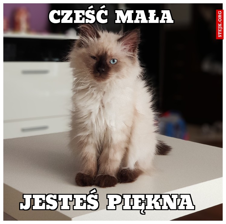 Cześć mała 