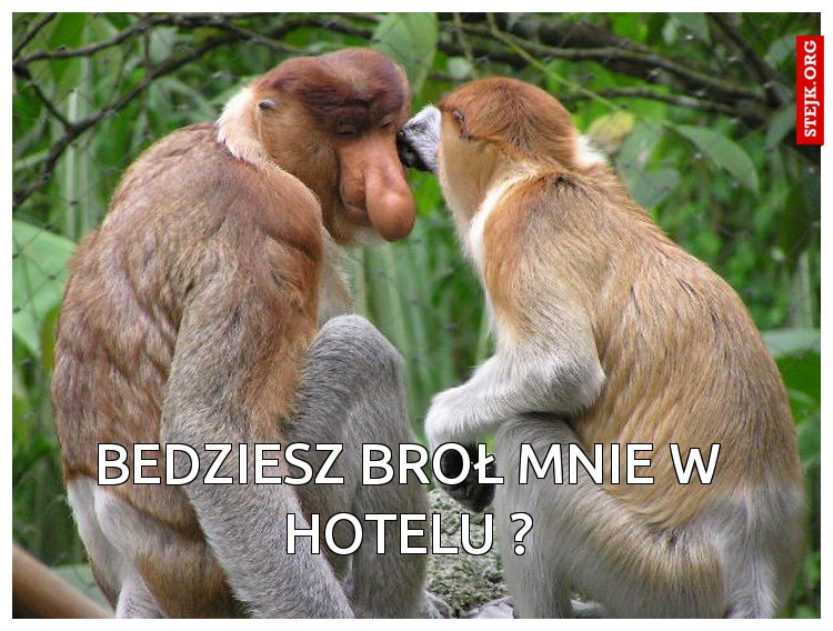 bedziesz broł mnie w hotelu ?
