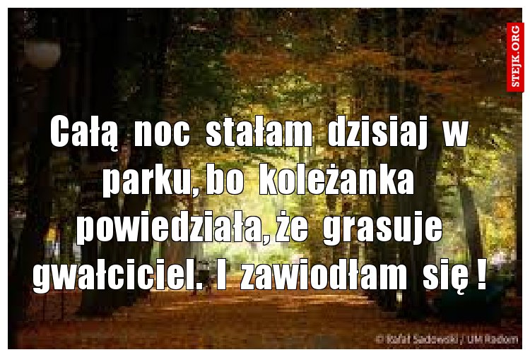 Całą  noc  stałam  dzisiaj  w  parku, bo  koleżanka  powiedziała, że  grasuje  gwałciciel.  I  zawiodłam  się ! 