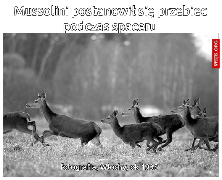 Mussolini postanowił się przebiec podczas spaceru