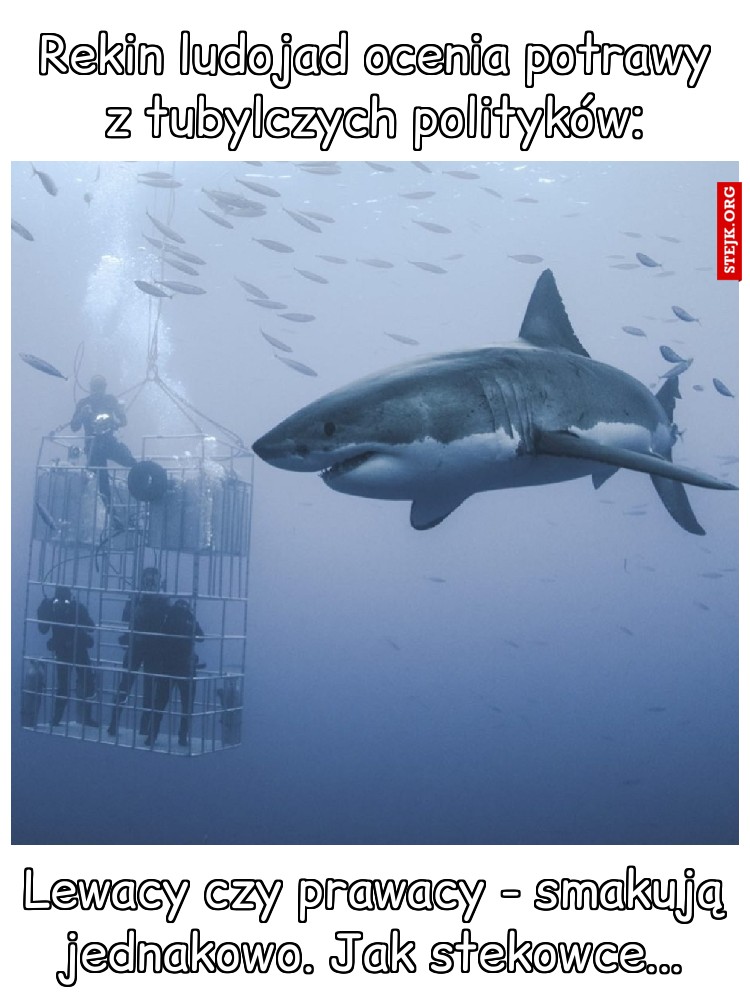Rekin ludojad ocenia potrawy z tubylczych polityków: