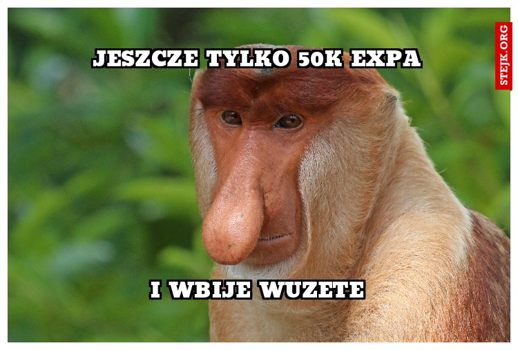 jeszcze tylko 50k expa