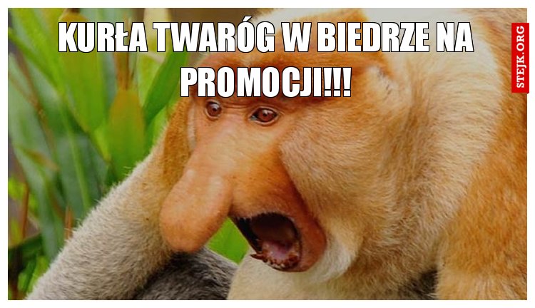 Kurła twaróg w biedrze na promocji!!!