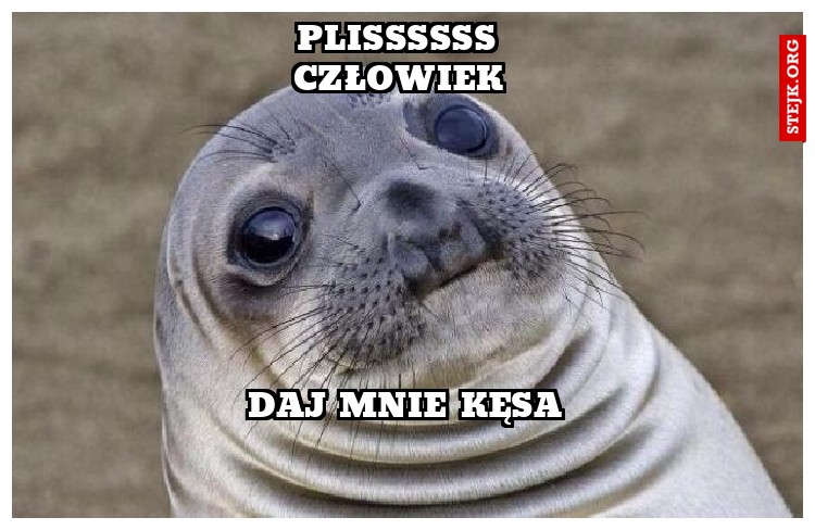 PLISSSSSS
