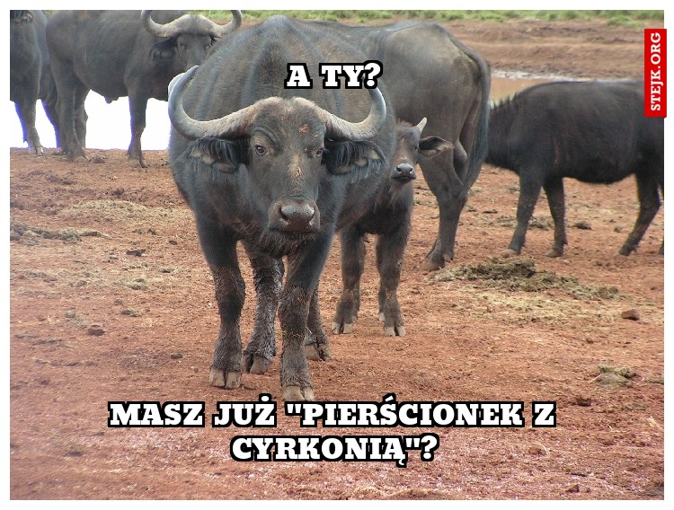 A TY?