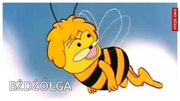 BŻDŻÓŁGA