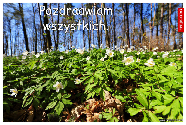 Pozdraawiam wszystkich.