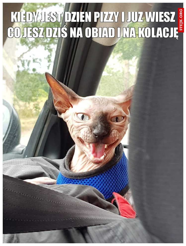 Kiedy jest dzień pizzy i już wiesz co jesz dziś na obiad i na kolację 