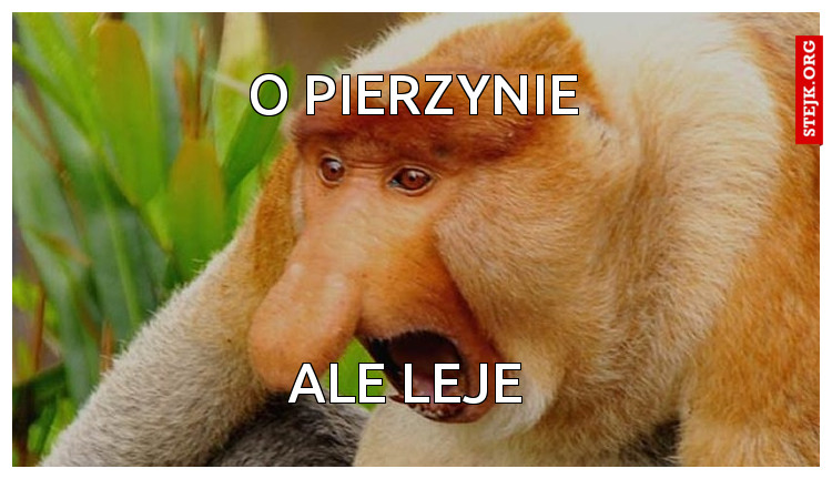 O Pierzynie