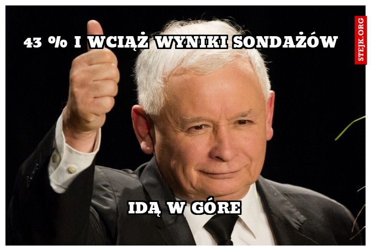 43 % i wciąż wyniki sondażów 