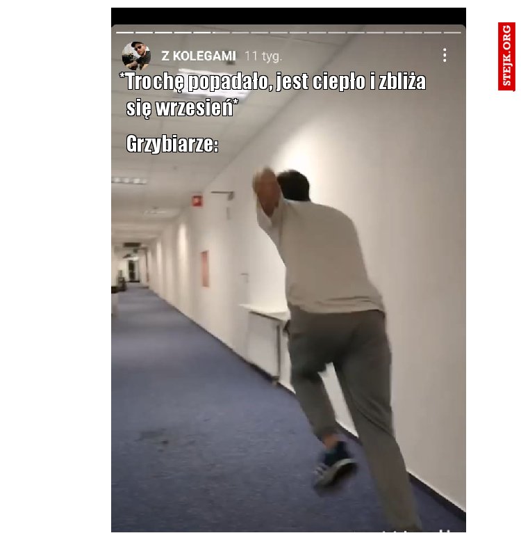 *Trochę popadało, jest ciepło i zbliża      się wrzesień*