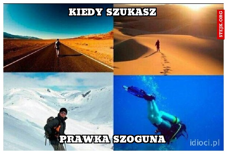 Kiedy szukasz
