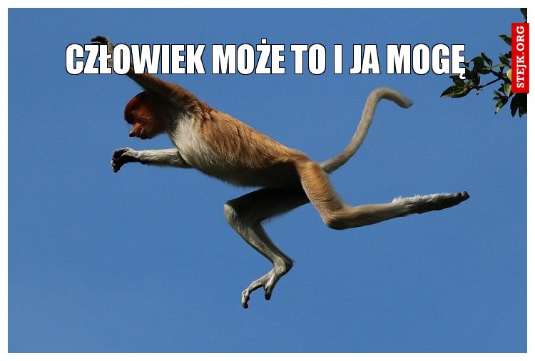 Człowiek może to i ja mogę