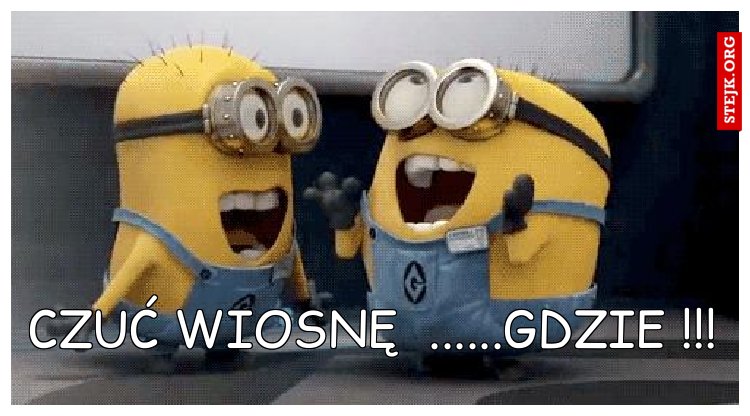 kochanie gdzie jedziesz