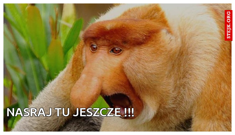 NASRAJ TU JESZCZE !!!