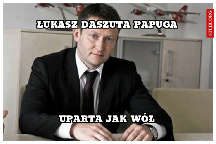 łukasz daszuta papuga