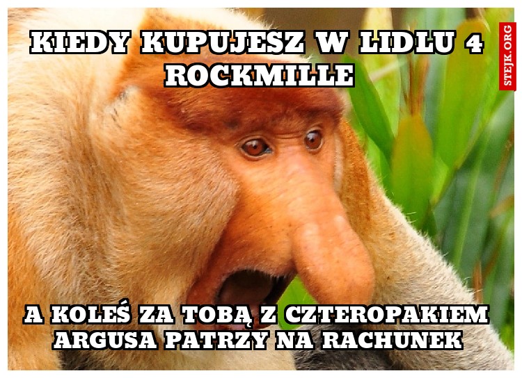 Kiedy kupujesz w Lidlu 4 Rockmille