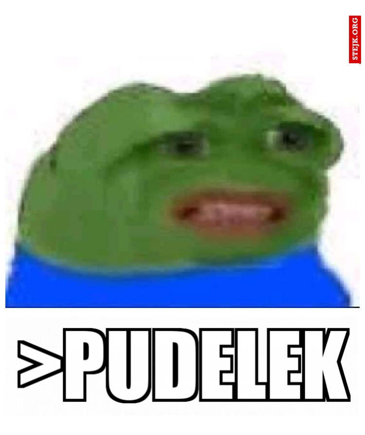 Pudelek