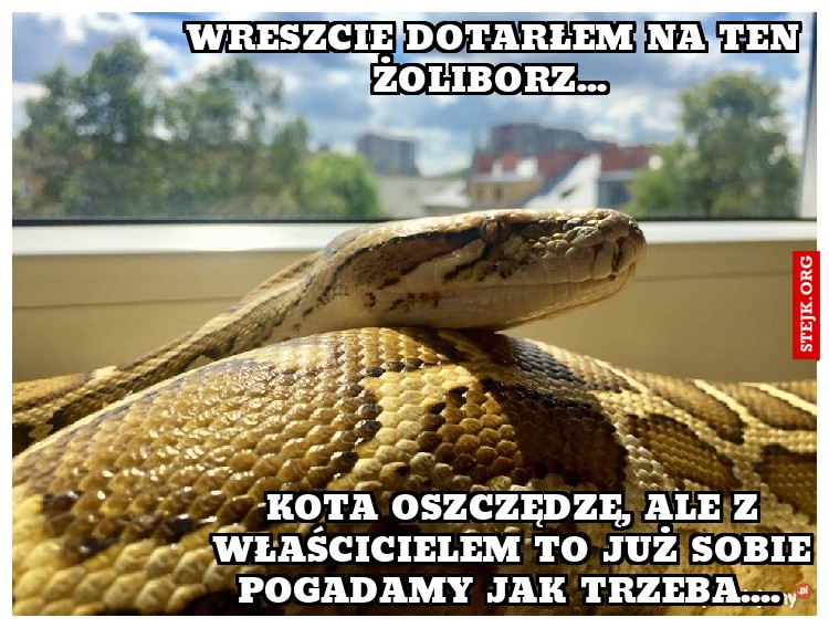 Wreszcie dotarłem na ten żoliborz... 