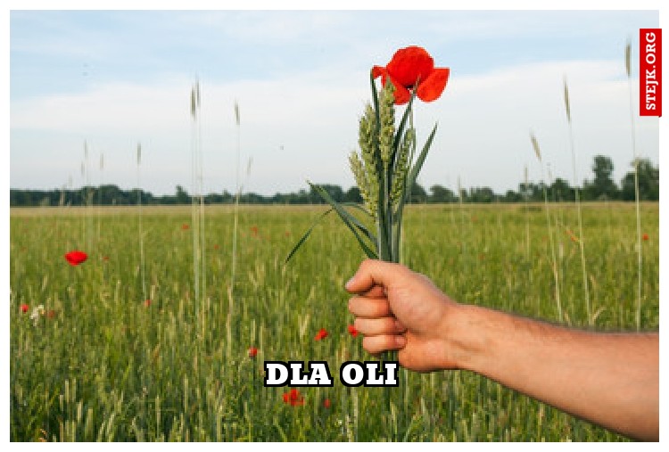 dla oli