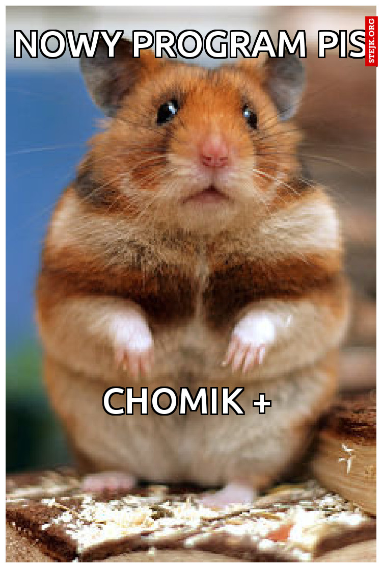 CHOMIK   