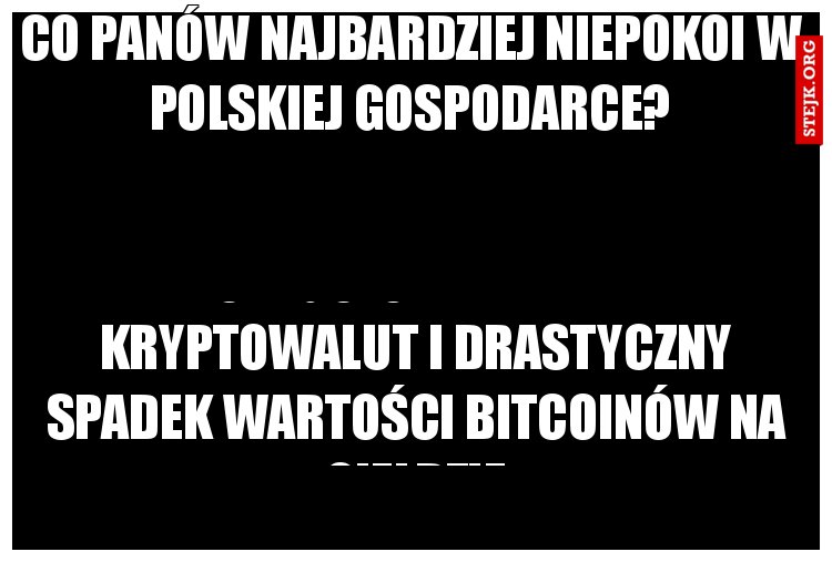 CO PANÓW NAJBARDZIEJ NIEPOKOI W POLSKIEJ GOSPODARCE?