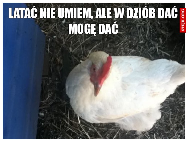 Latać nie umiem, ale w dziób dać, mogę dać