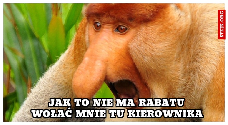 PANIE ILE TO KOSZTUJE