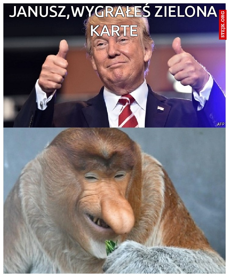 Janusz,wygrałeś zielona karte