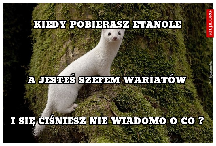 kiedy pobierasz etanole