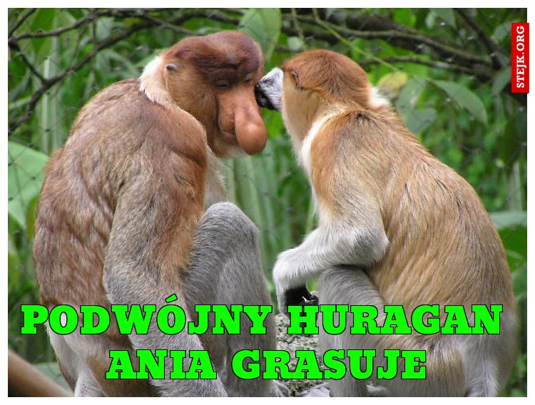 podwójny huragan ania grasuje