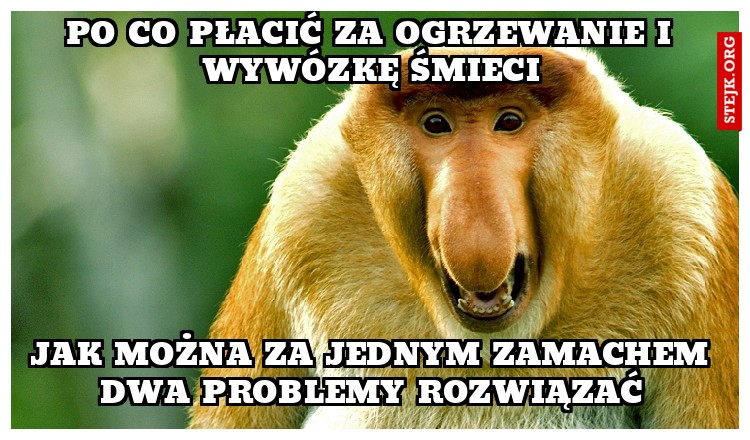 Po co płacić za ogrzewanie i wywózkę śmieci
