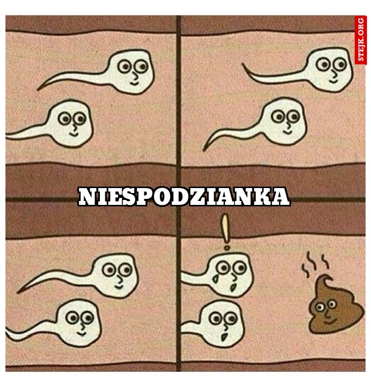 niespodzianka