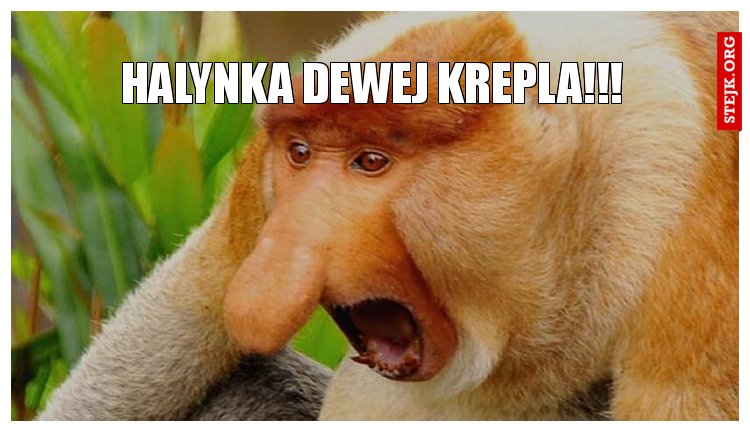 halynka dewej krepla!!!