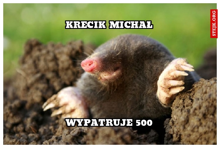 Krecik Michał