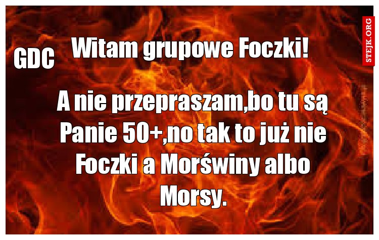 Witam grupowe Foczki!