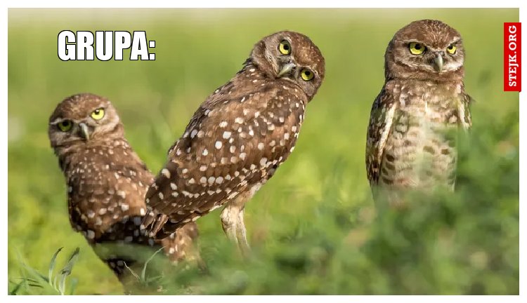 Grupa: