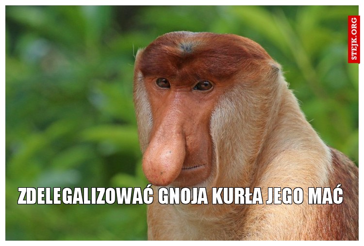 zdelegalizować gnoja kurła jego mać