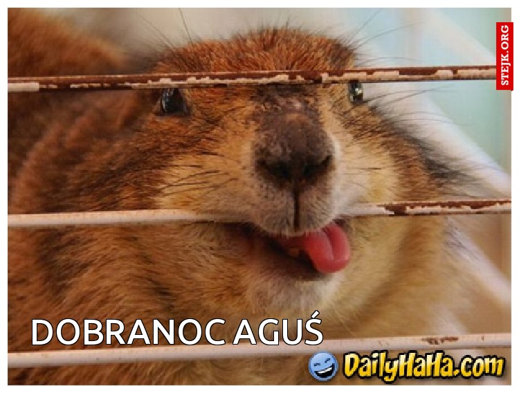 Dobranoc Aguś