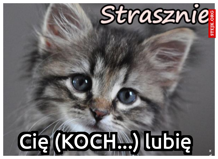 Cię (KOCH...) lubię 